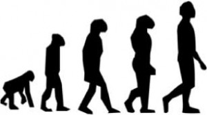9--Evolution
